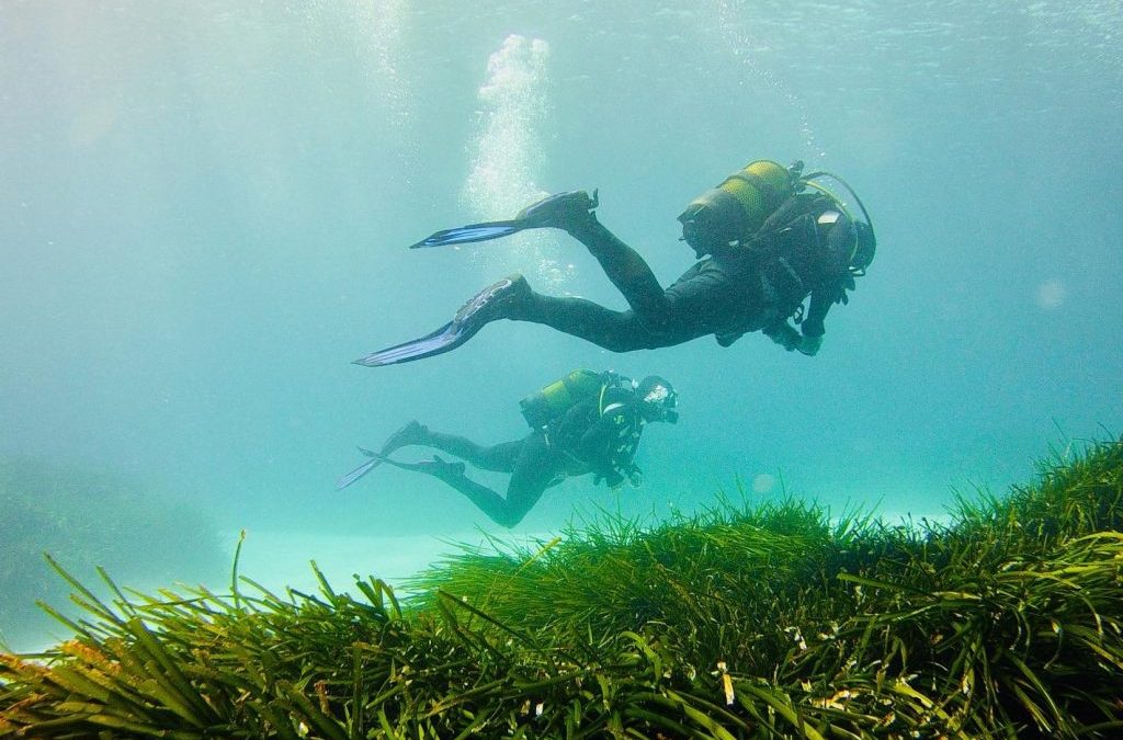 Bautizo de buceo en Menorca: Todo lo que debes saber
