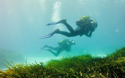 Bautizo de buceo en Menorca: Todo lo que debes saber