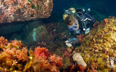 Guía de Iniciación al Buceo en Menorca