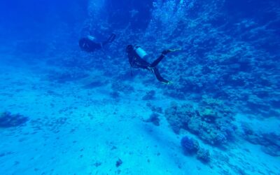 Buceo en Menorca: guía completa para buceadores experimentados