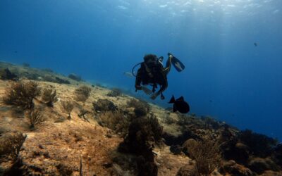 Por qué Menorca es un destino ideal para bucear en el Mediterráneo
